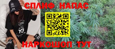 крисы Ирбит